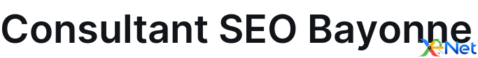 Consultant SEO Bayonne